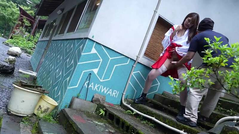 サンプル画像 12