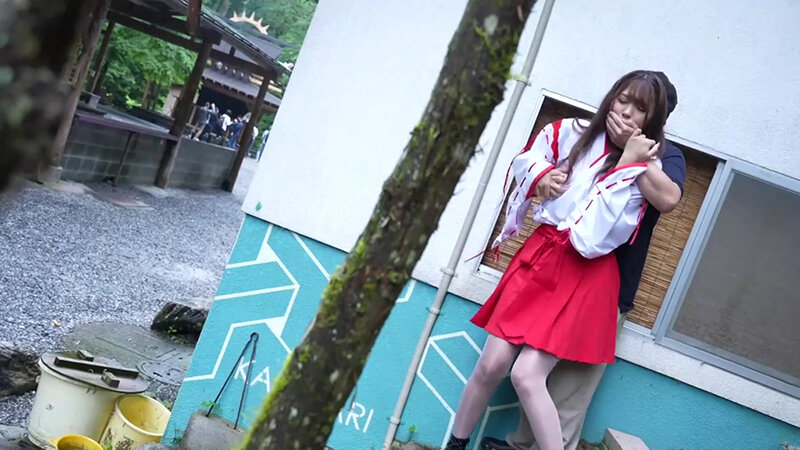 サンプル画像 7