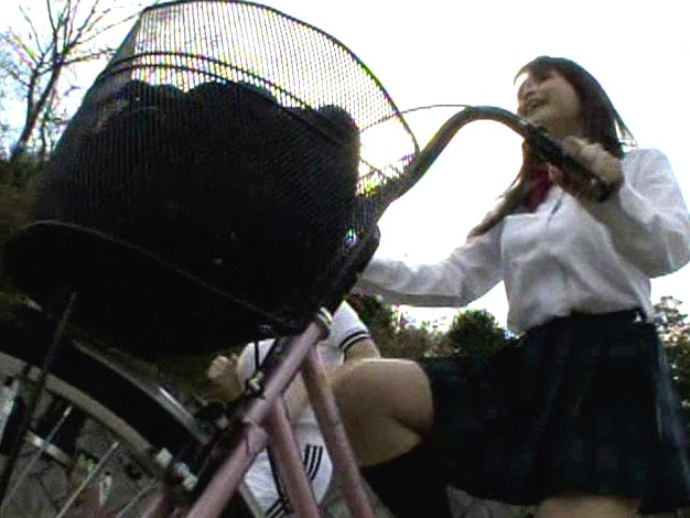 サンプル画像 2