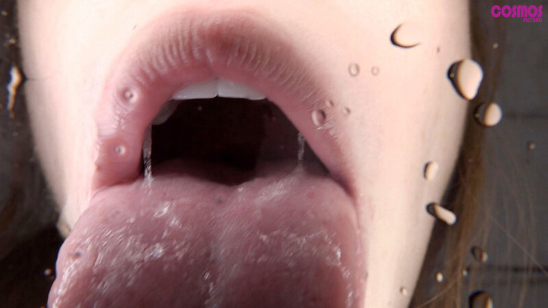 サンプル画像 13