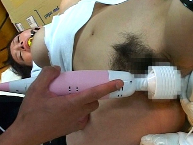 サンプル画像 13