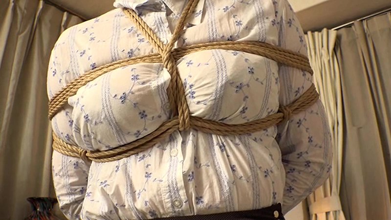 サンプル画像 4