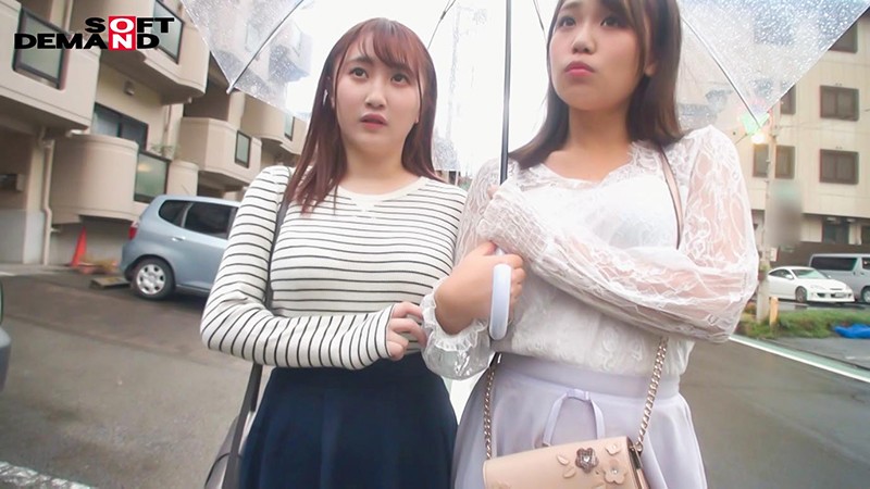 サンプル画像 10