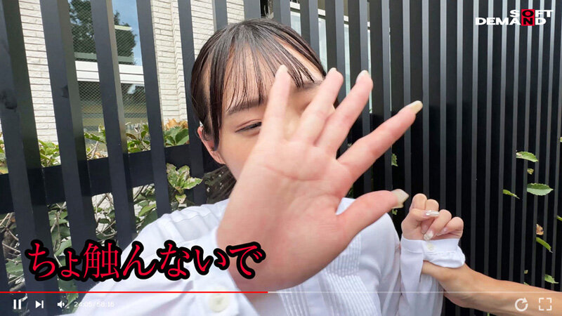 サンプル画像 11