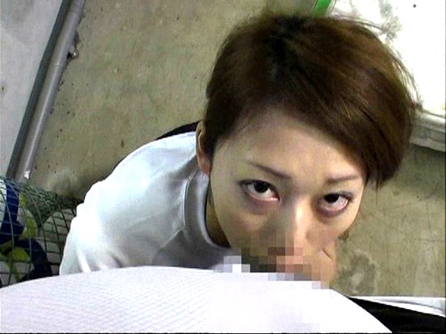 サンプル画像 13