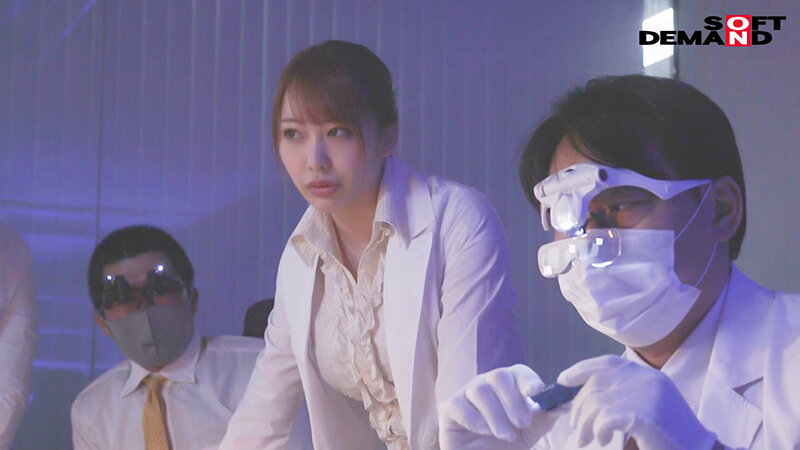 サンプル画像 5