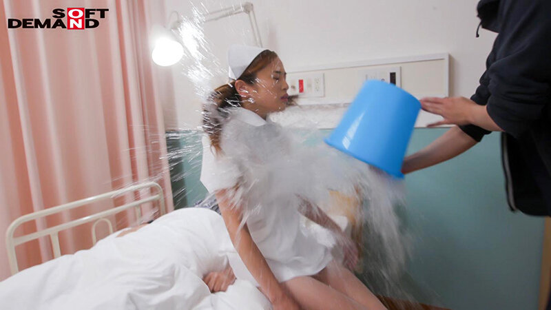 サンプル画像 8