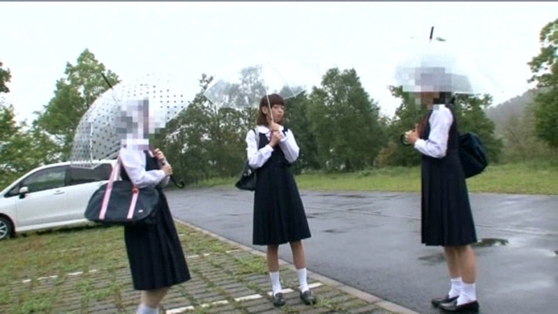 サンプル画像 13