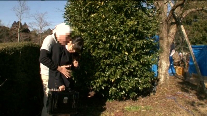 サンプル画像 5