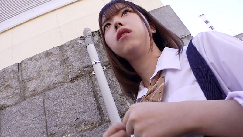 サンプル画像 14