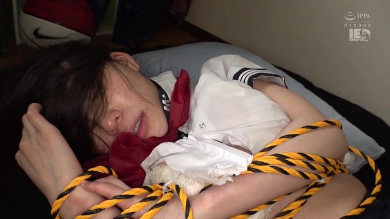 サンプル画像 10