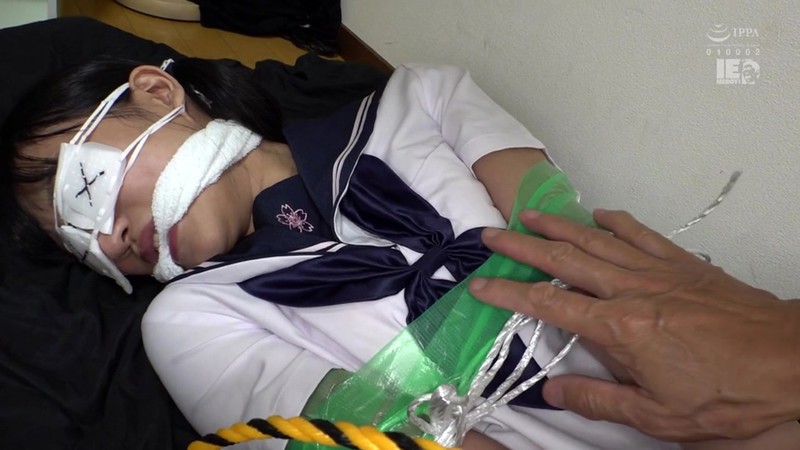 サンプル画像 3