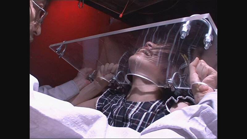 サンプル画像 13