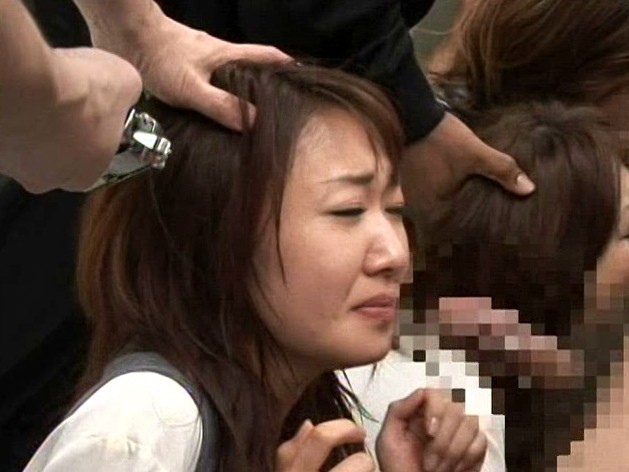 サンプル画像 14