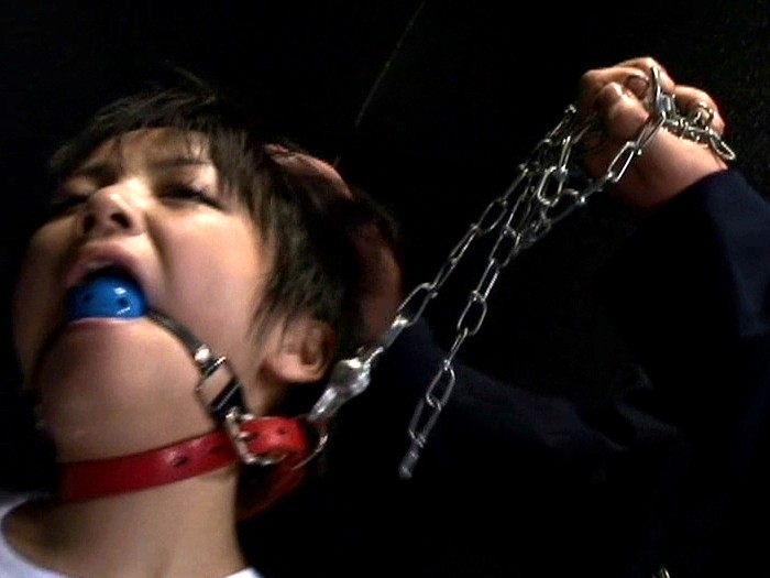 サンプル画像 14