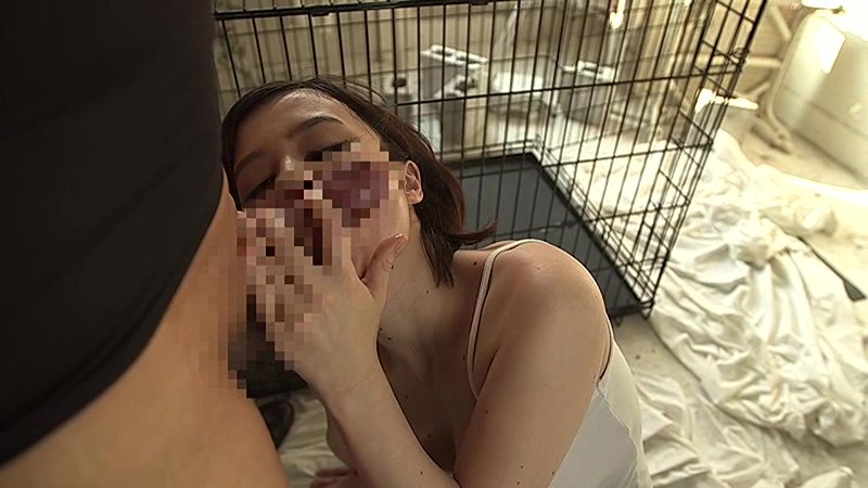 サンプル画像 11