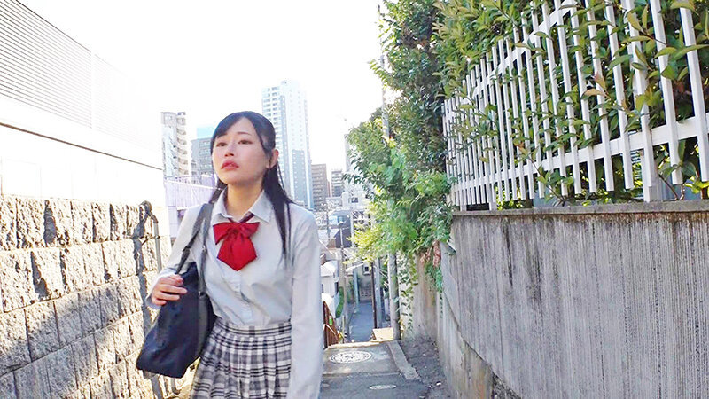 サンプル画像 13