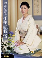 パッケージ画像