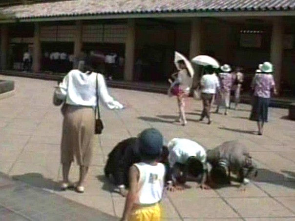 サンプル画像 14