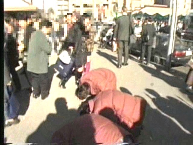 サンプル画像 2