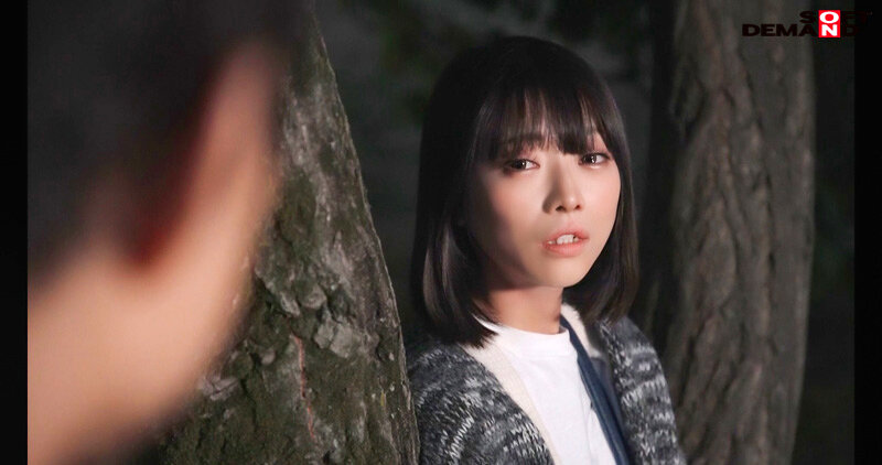 サンプル画像 5