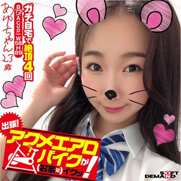 サンプルプレビュー