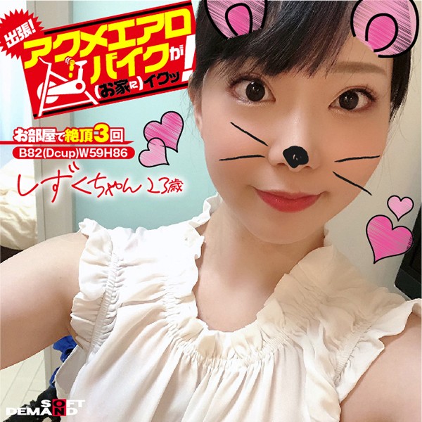 サンプルプレビュー