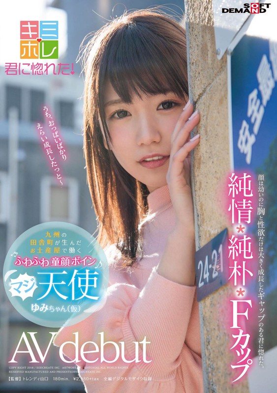 サンプル画像 9