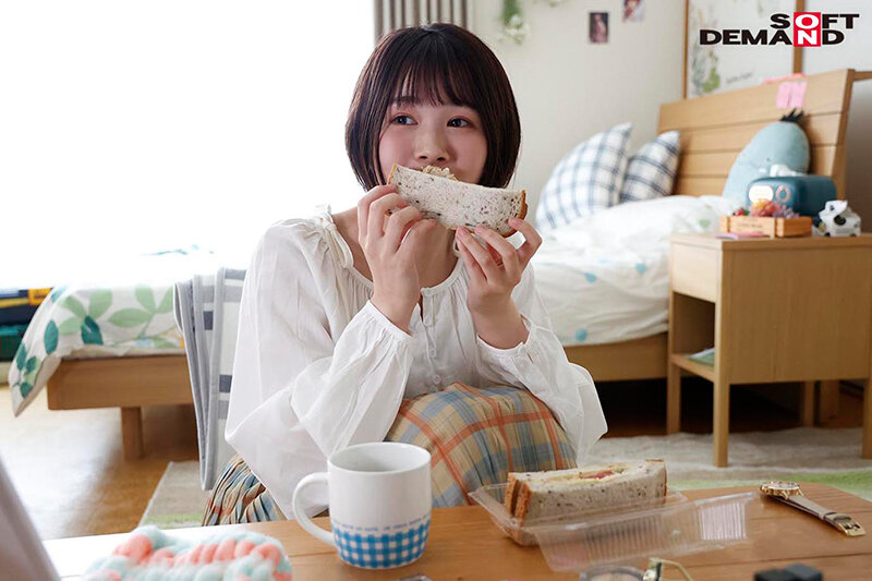 サンプル画像 9