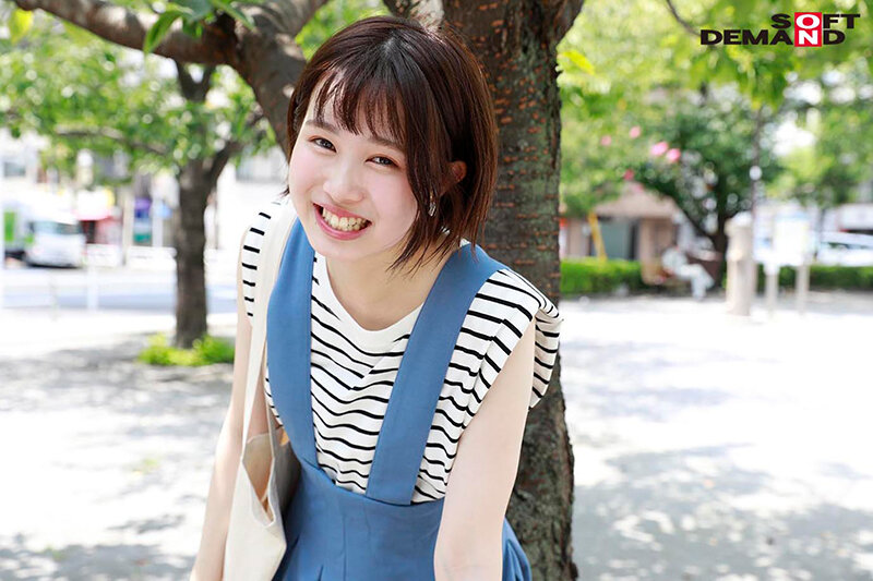 サンプル画像 4