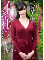 パッケージ画像