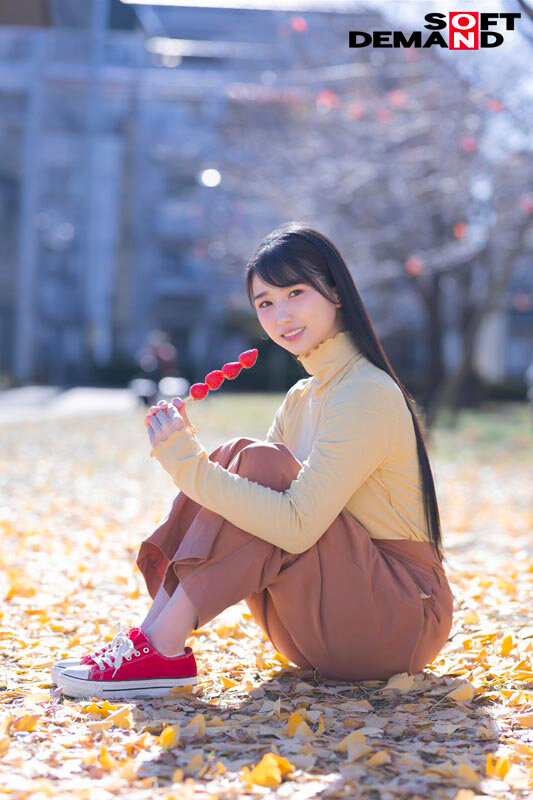 サンプル画像 3