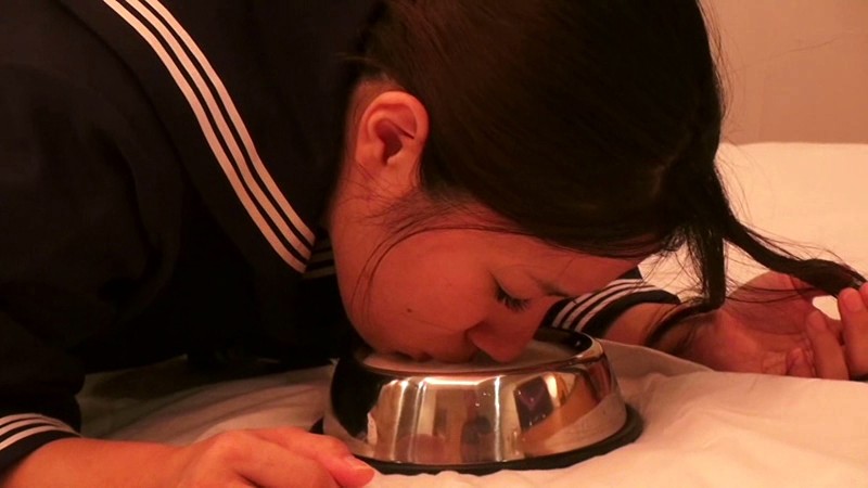 サンプル画像 3