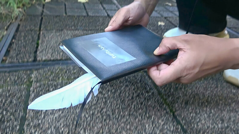 サンプル画像 2