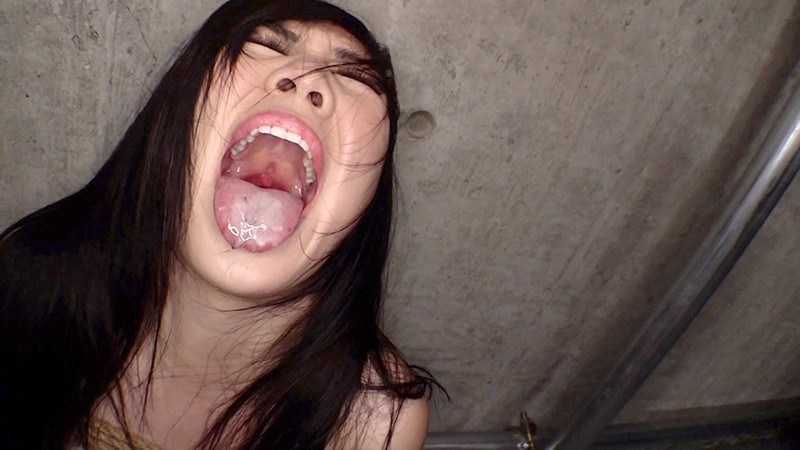 サンプル画像 13