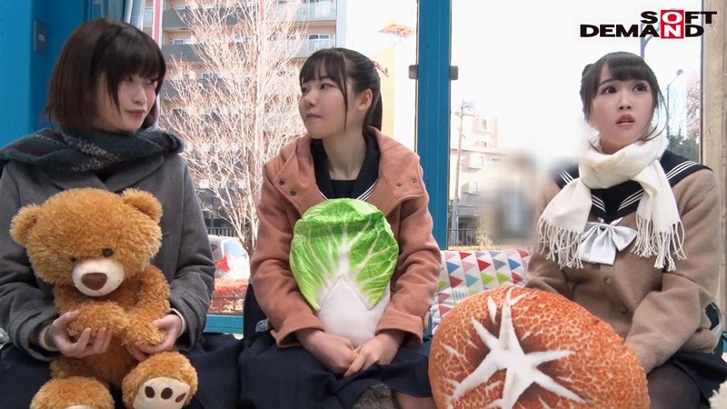 サンプル画像 3