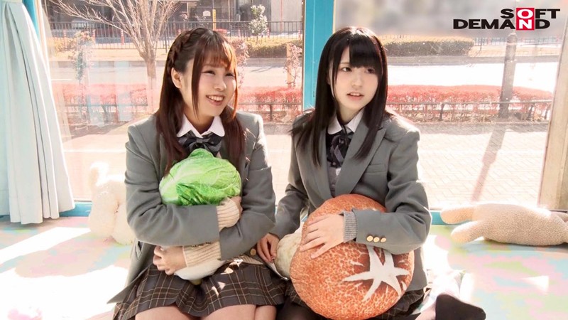 サンプル画像 3