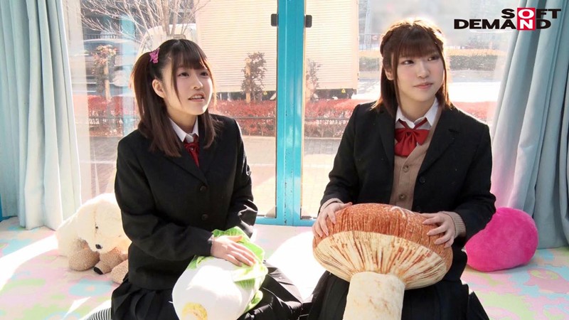 サンプル画像 3