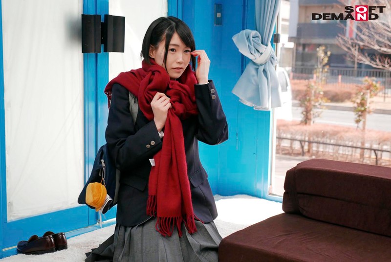 サンプル画像 3