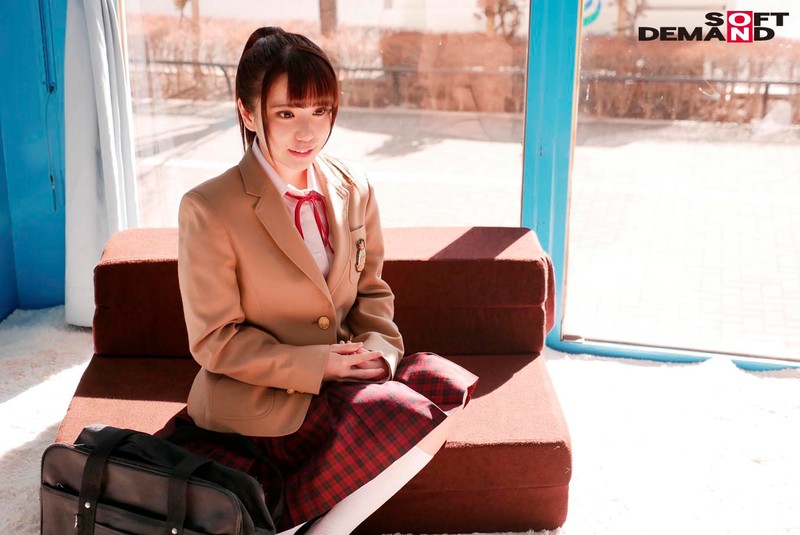 サンプル画像 3