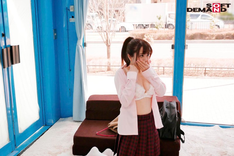 サンプル画像 8