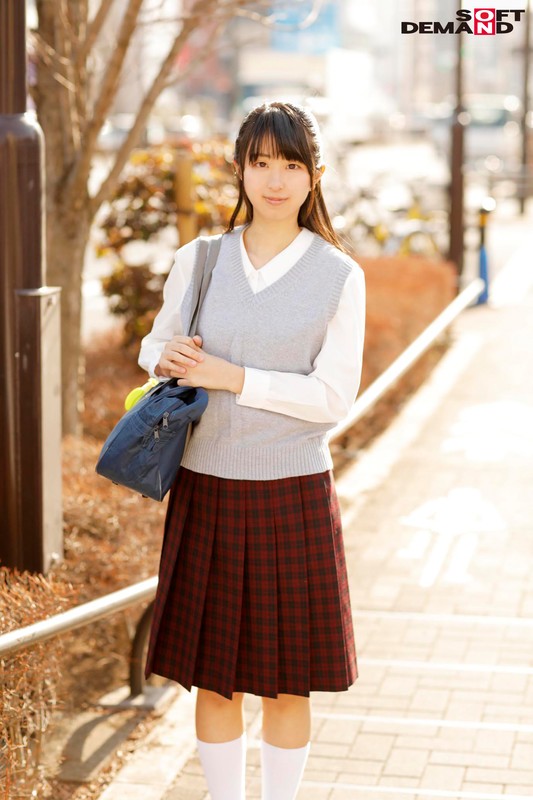 サンプル画像 5