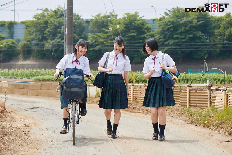 サンプル画像 20