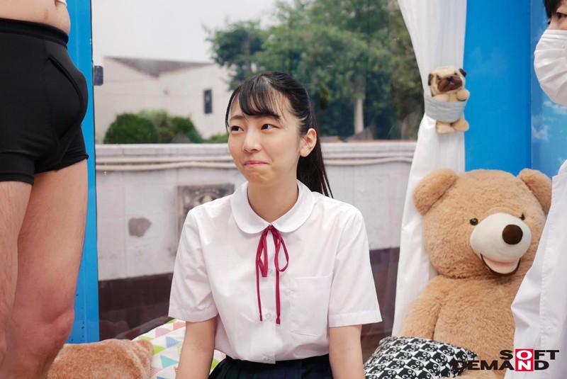 サンプル画像 8