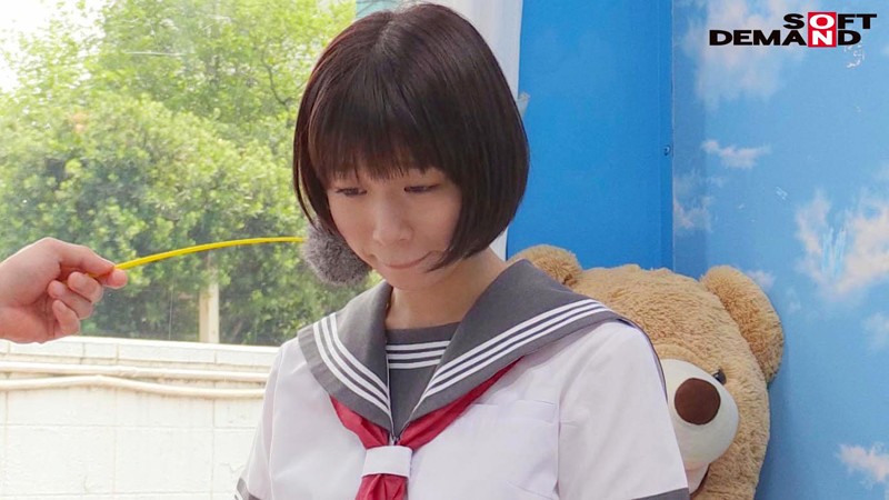 サンプル画像 8