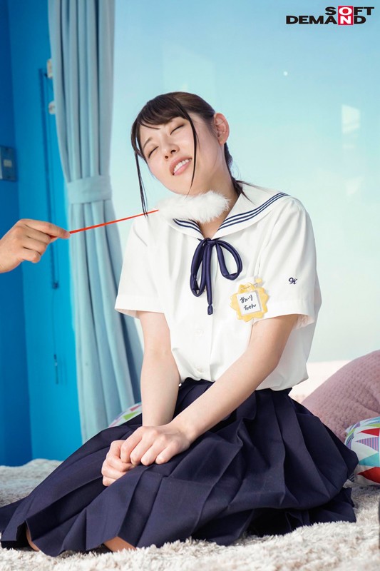 サンプル画像 4