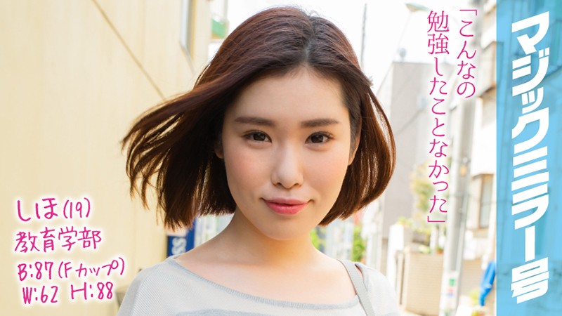 サンプルプレビュー