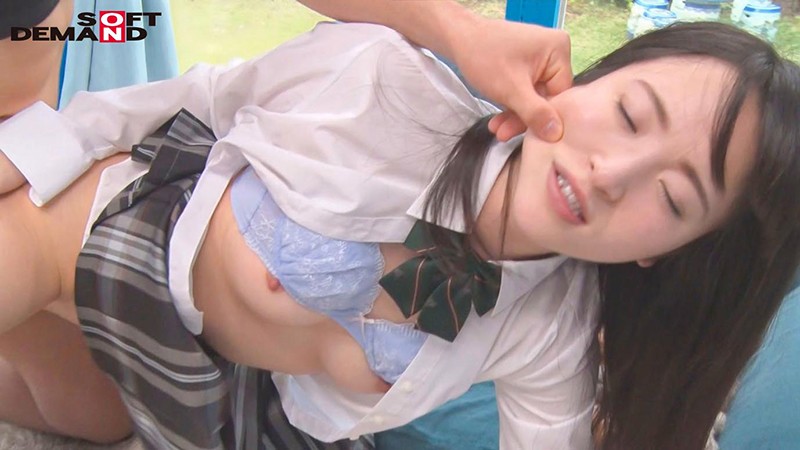 サンプル画像 9