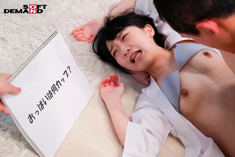 サンプル画像 13