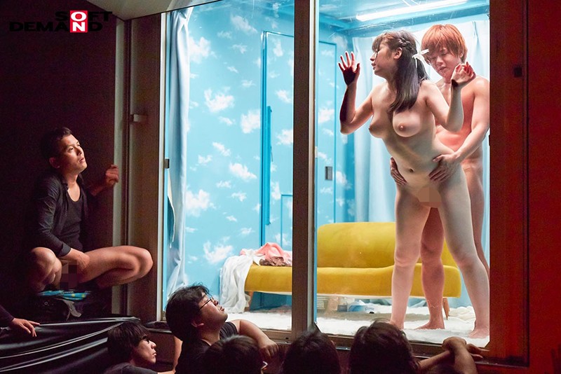 サンプル画像 9